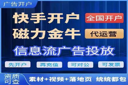 百度推广运营实战：中小企业如何突围